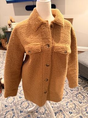 Joie Plush Teddy Jacket in Camel